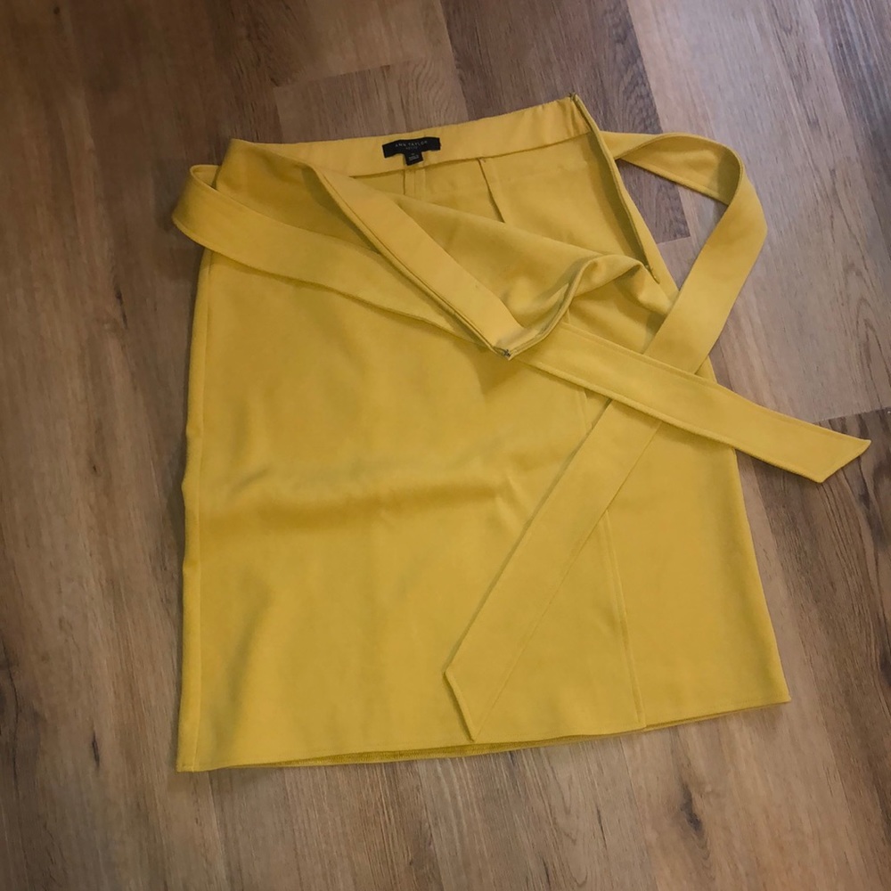 Ann Taylor Skirt